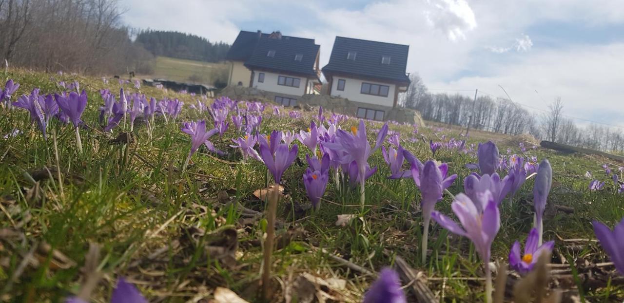Nowinowe Domki Dzianisz Exterior photo